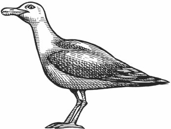 В жерле вулкана - i_007.png