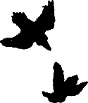 Миры Роджера Желязны. Том 28 - i_009.png