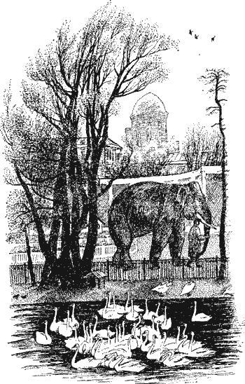 Умный дикобраз - i_005.png