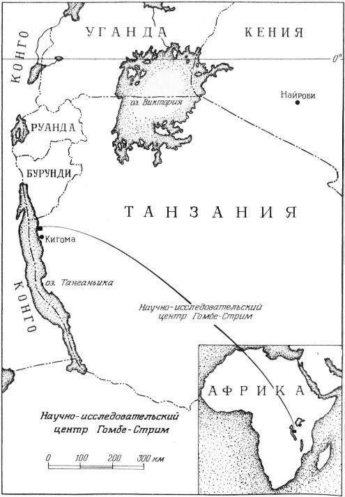В тени человека - _10058ff1.jpg