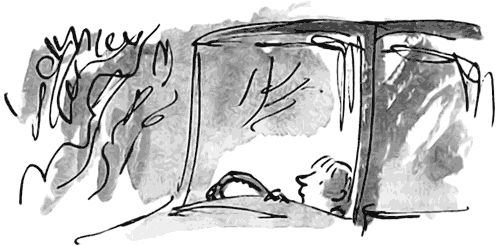 Дэнни - чемпион мира - i_027.png