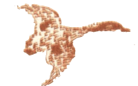 Медовый дождь - i_050.png
