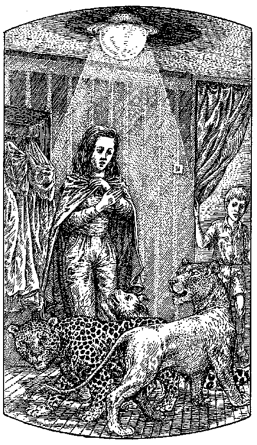 Человек-амфибия (повести) - i_011.png