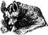 Энциклопедия языческих богов. Мифы древних славян - i_036.jpg