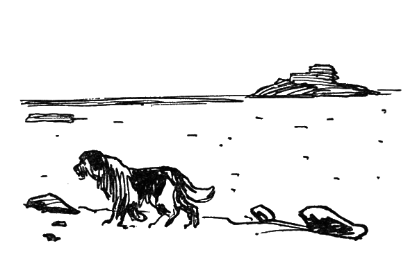 Собрание сочинений. Т. 9. - i_051.png