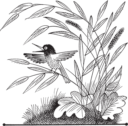 Сказки - i_059.png