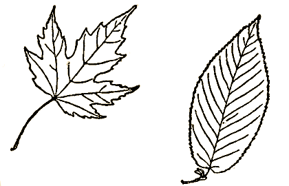 Маленькие дикари (Рисунки автора) - i_028.png