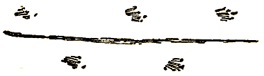 Маленькие дикари (Рисунки автора) - i_079.png