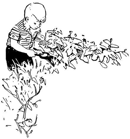 Агния Барто. Собрание сочинений в 3 томах. Том 1 - i_161.png