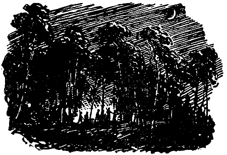 Зелен камень - i_006.png