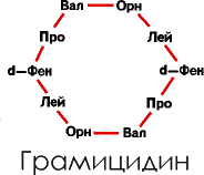 Аксиомы биологии - p_09.png