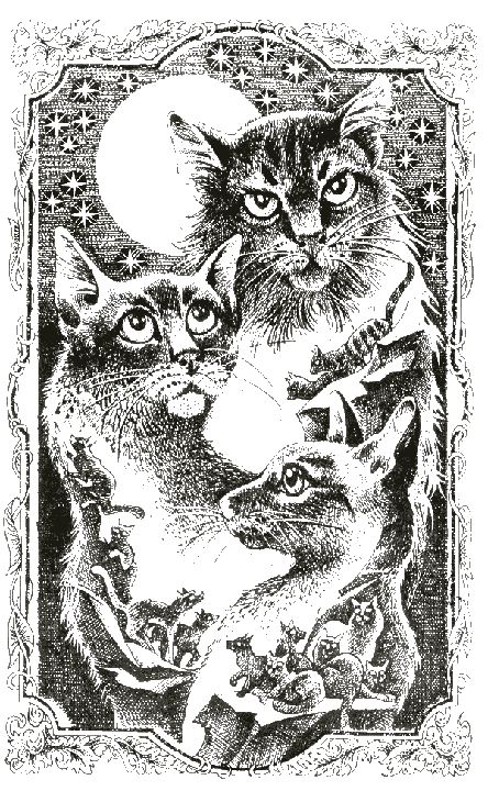 Судьба Небесного племени. Сомнение - i_001.png