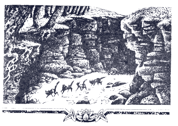 Судьба Небесного племени. Сомнение - i_008.png