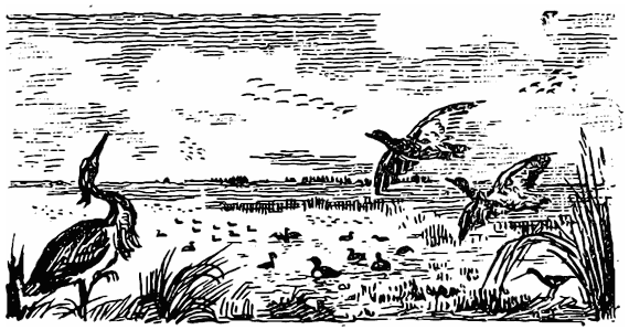 Охотничьи тропы - i_006.png