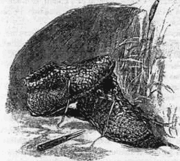 В семье - i_043.png