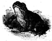 В семье - i_047.png