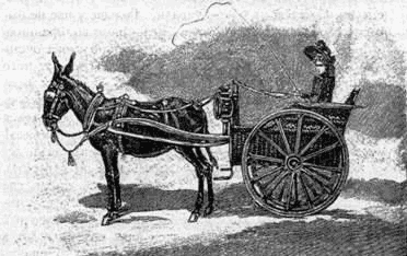 В семье - i_075.png