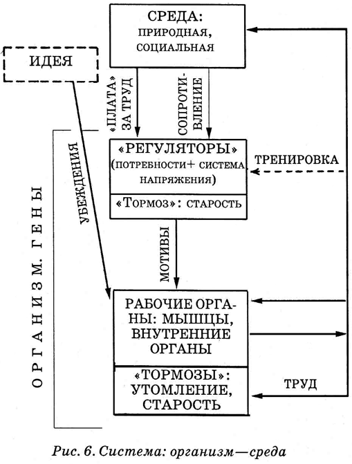 Энциклопедия Амосова. Алгоритм здоровья - i_031.png