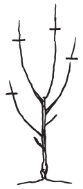 Полная энциклопедия фермера - i_172.png