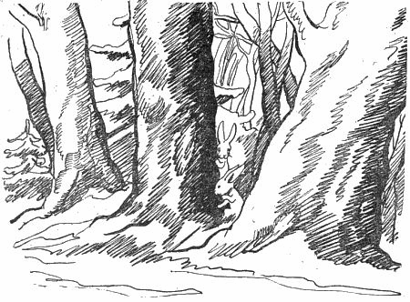 Внук старого Грома - i_004.png