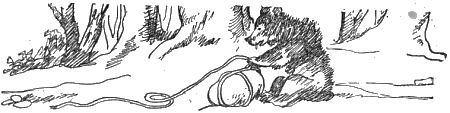 Внук старого Грома - i_022.png