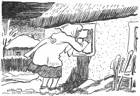 Внук старого Грома - i_027.png