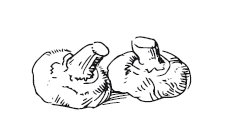 365 рецептов на каждый день - i_024.png