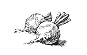 365 рецептов на каждый день - i_073.png