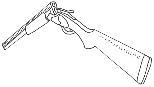 Современная энциклопедия охоты - i_018.png
