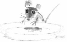 Путешествие в Мышляндию. Книга Мышей для больших и малышей - i_053.jpg