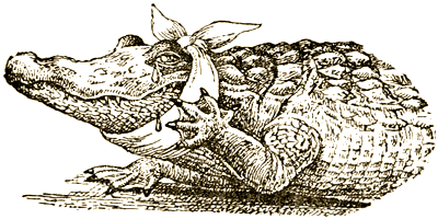 Доктор Айболит [Издание 1936 г.] - i_017.png
