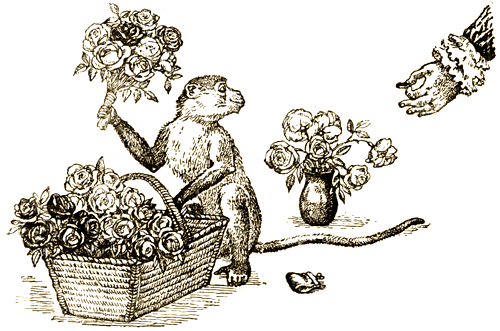 Доктор Айболит [Издание 1936 г.] - i_019.png
