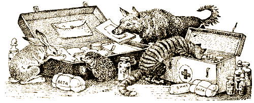 Доктор Айболит [Издание 1936 г.] - i_023.png