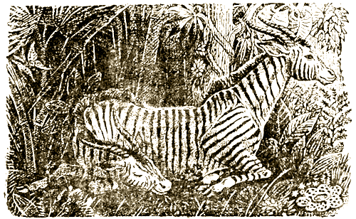 Доктор Айболит [Издание 1936 г.] - i_044.png
