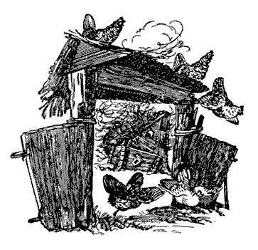 Русские народные сказки (Сост. В. П. Аникин) - _64.jpg