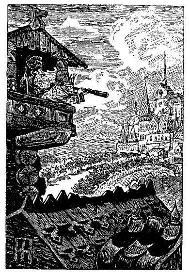 Русские народные сказки (Сост. В. П. Аникин) - _86.jpg