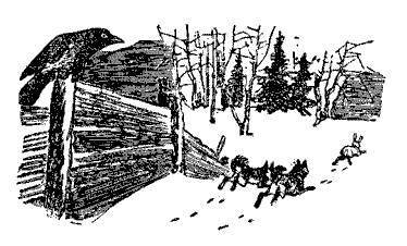 Русские народные сказки (Сост. В. П. Аникин) - _30.jpg