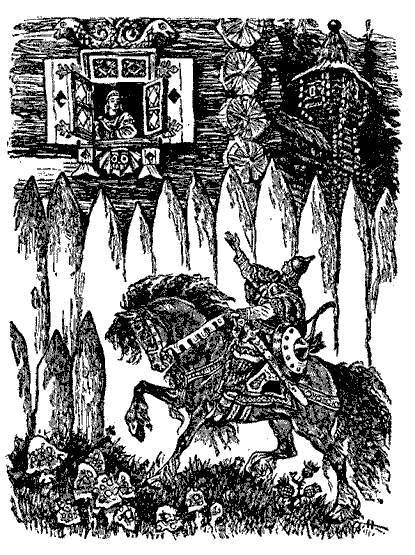 Русские народные сказки (Сост. В. П. Аникин) - _83.jpg