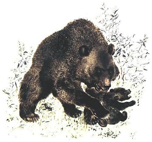 Медвежья горка - i_005.jpg