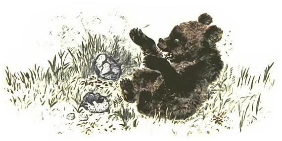 Медвежья горка - i_006.jpg