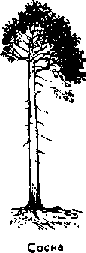 Что я видел (сборник) - i_177.png