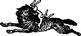 Что я видел (сборник) - i_398.png