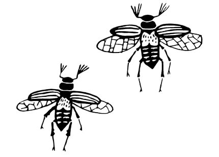 Маяк на Омаровых рифах - i_158.png