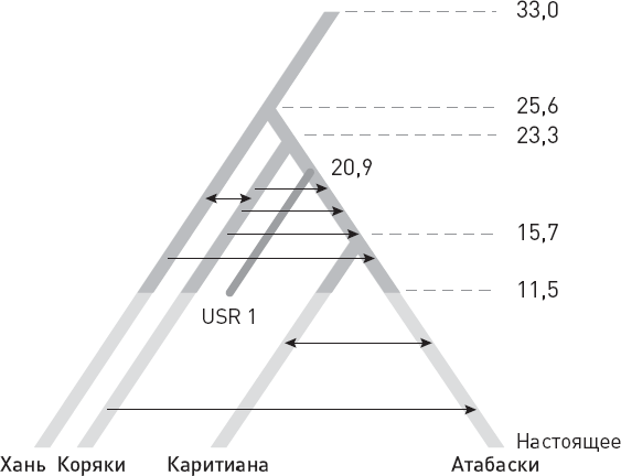 Эволюция человека. Книга 3. Кости, гены и культура Эволюция человека. Книга 3. Кости, гены и культура