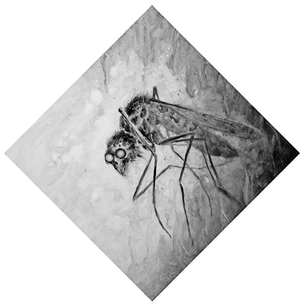 Косиног. История о колдовстве Косиног. История о колдовстве