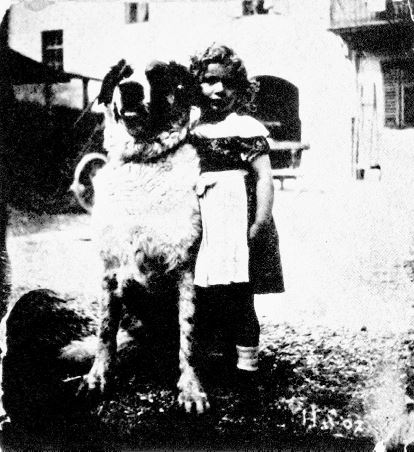 Утраченное кафе «У Шиндлеров». История Холокоста и судьба одной австро-венгерской семьи Утраченное кафе «У Шиндлеров». История Холокоста и судьба одной австро-венгерской семьи