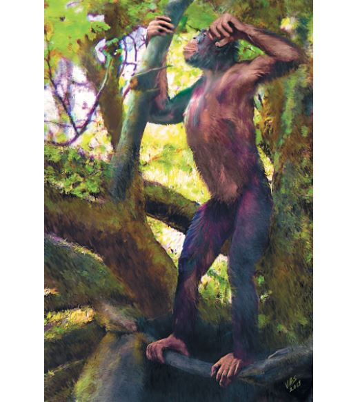 Как мы стали людьми. Поиски истоков человечества Как мы стали людьми. Поиски истоков человечества