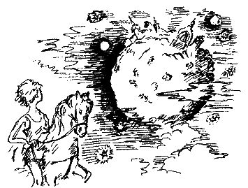 Фрегат Звенящий (сборник) - i_221.png