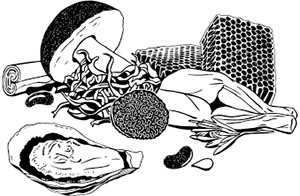 Ковид и постковид. Как справиться с последствиями коронавируса. Микроэлементы и витамины для защиты и восстановления здоровья