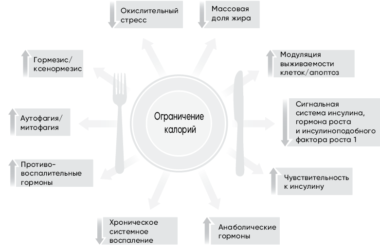 Код долголетия. 12 понятных и доступных способов сохранить здоровье, ясность ума и привлекательность на долгие годы Код долголетия. 12 понятных и доступных способов сохранить здоровье, ясность ума и привлекательность на долгие годы